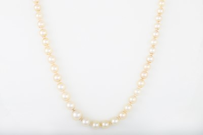 Lot 6 - A SINGLE ROW CULTURED PEARL NECKLACE, to...