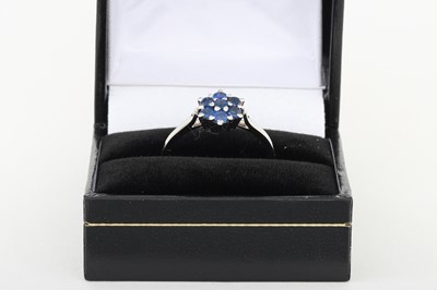 Lot 46 - A SAPPHIRE CLUSTER RING, mounted in white gold,...