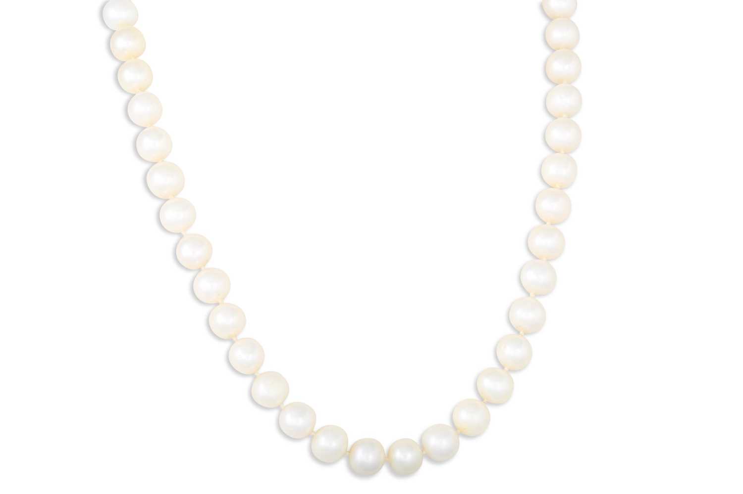 Lot 31 - A SET OF CULTURED PEARLS, to a 14ct gold clasp...