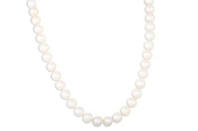 Lot 31 - A SET OF CULTURED PEARLS, to a 14ct gold clasp...