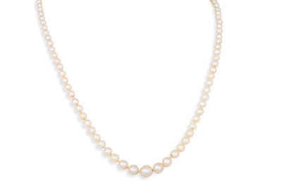 Lot 82 - A SET OF CIRO CULTURED PEARLS, gold clasp,...