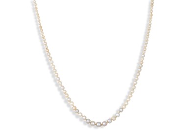 Lot 146 - A VINTAGE PEARL NECKLACE, to a 14ct gold clasp,...