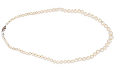 Lot 145 - A GRADUATED CULTURED PEARL NECKLACE, to a 14ct...