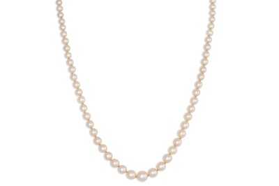 Lot 61 - AN ANTIQUE CULTURED PEARL NECKLACE, to a 9ct...