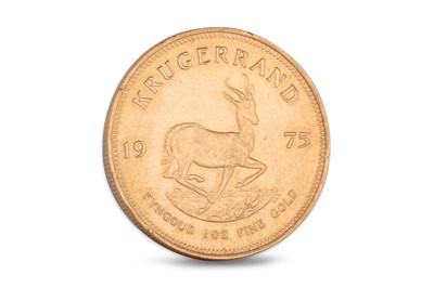 Lot 390 - A SOUTH AFRICAN 1975 KRUGERRAND 10OZ GOLD COIN,...