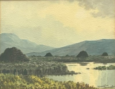 Lot 494 - DOUGLAS ALEXANDER (19TH/20TH CENTURY), 'Bog,...