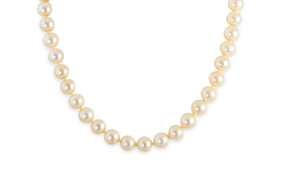 Lot 261 - A CHOKER LENGTH SET  OF CULTURED PEARLS, to a...