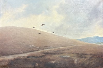 Lot 524 - ROBERT JOBSON Irl (1911-1999) Birds in flight,...