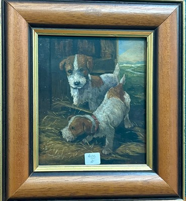Lot 509 - ENGLISH SCHOOL, 1950, Jack Russell terriers,...