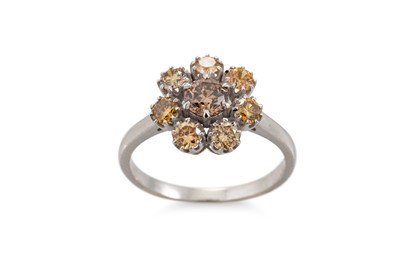 Lot 57 - A DIAMOND CLUSTER RING, the fancy coloured...