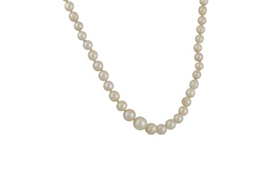Lot 8 - A GRADUATED PEARL NECKLACE, 9ct gold clasp