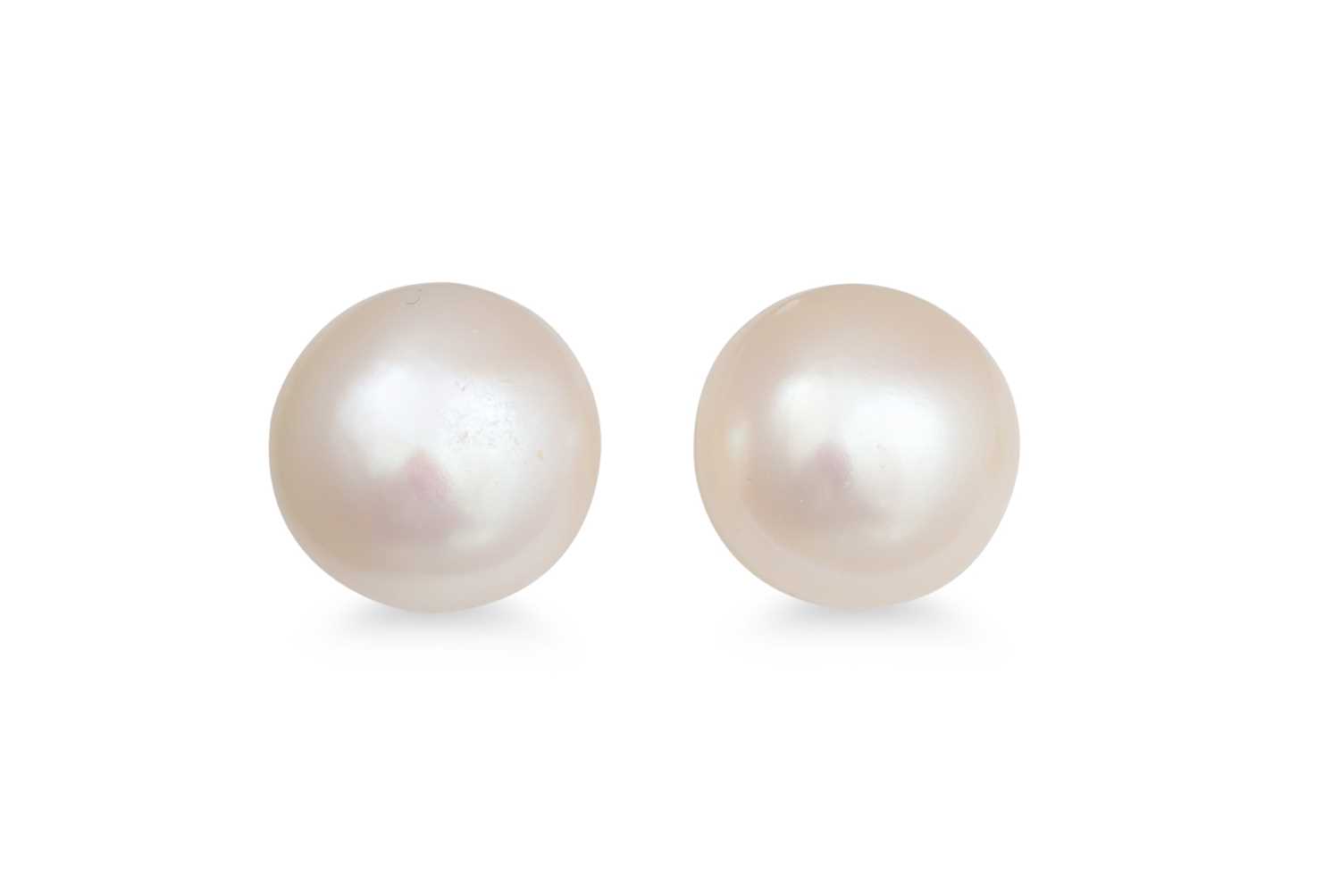 Lot 76 - A PAIR OF BUTTON PEARL EARRINGS, mounted in gold