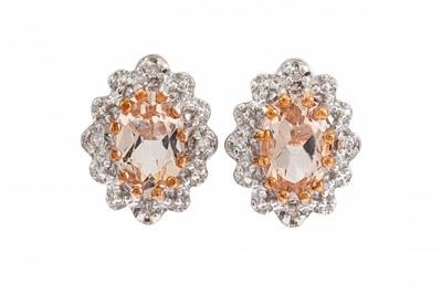 Lot 53 - A PAIR OF DIAMOND AND MORGANITE CLUSTER...