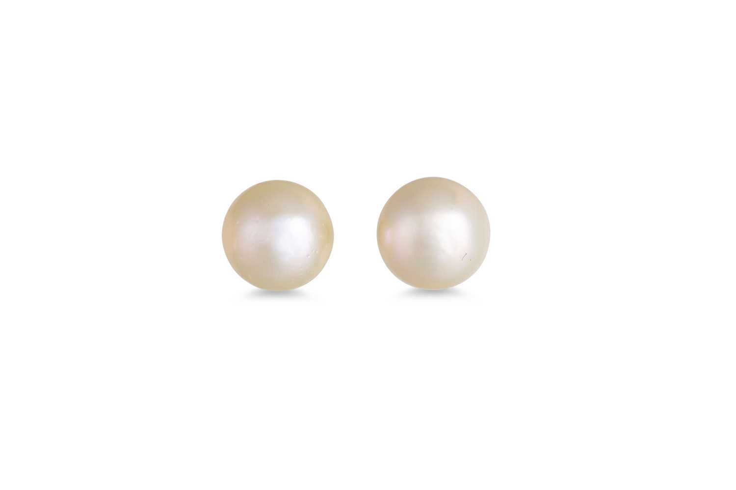 Lot 49 - A PAIR OF CULTURED PEARL EARRINGS, mounted in...