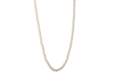 Lot 43 - A LONG STRANDED CULTURED PEARL NECKLACE, 9ct...