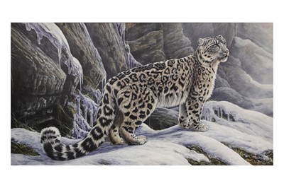 Lot 548 - JEREMY PAUL (B. 1954), Snow leopard, acrylic...