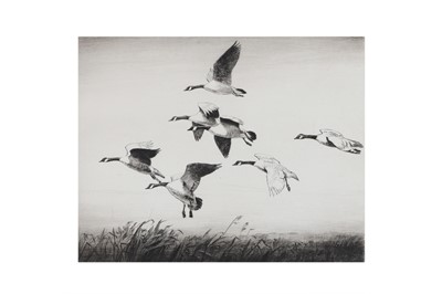 Lot 549 - AFTER SIR PETER SCOTT (1909 - 89), 'Geese in...