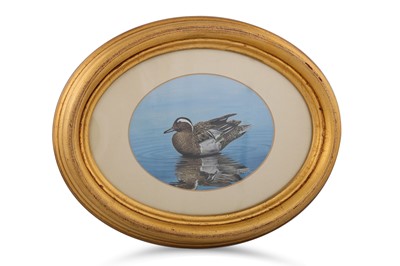 Lot 492 - REX FLOOD (20th Century), 'Garganey', oil on...