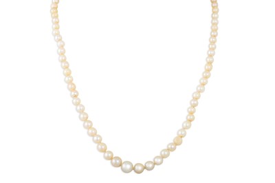 Lot 102 - A CULTURED PEARL NECKLACE, a 9ct gold clasp