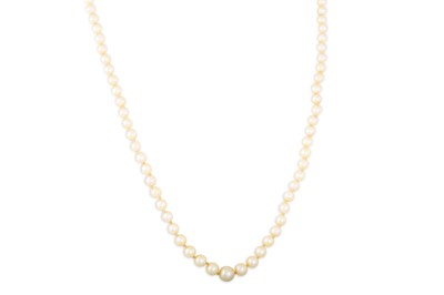 Lot 116 - AN ANTIQUE CULTURED PEARL NECKLACE, with a 9ct...