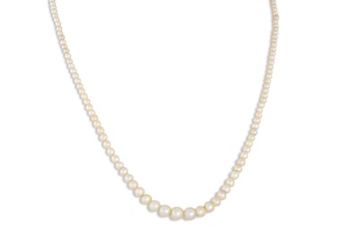 Lot 217 - AN ANTIQUE GRADUATED SEED PEARL NECKLACE, with...