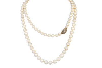 Lot 302 - A VINTAGE SET OF GRADUATED CULTURED PEARLS, to...